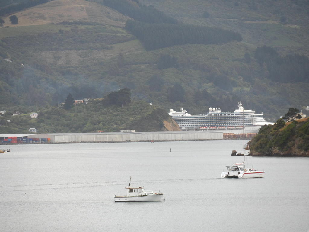 Otago Peninsula Motel Portobello Kültér fotó